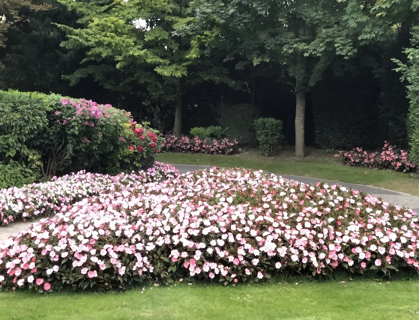 Massif fleuri