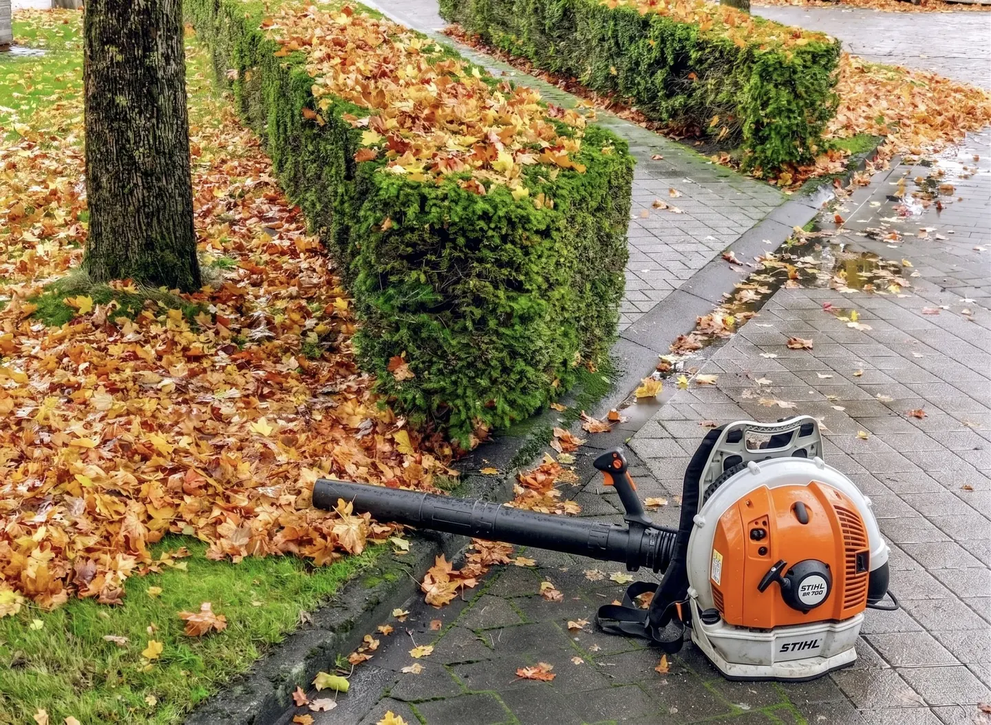 Nettoyage d'automne — souffleur STIHL
